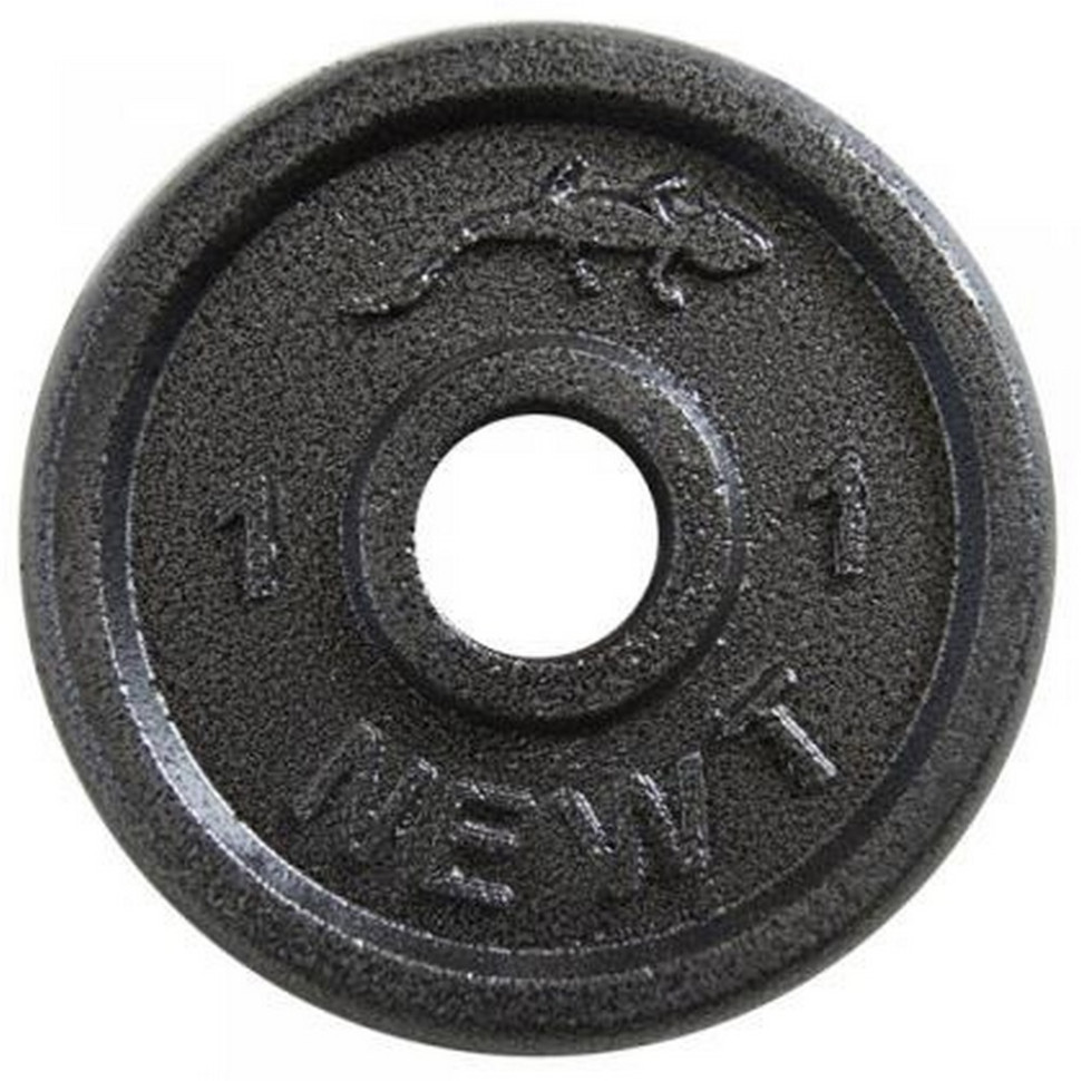 Диск сталевий Home Newt TI-0011, 1 кг, 28 мм