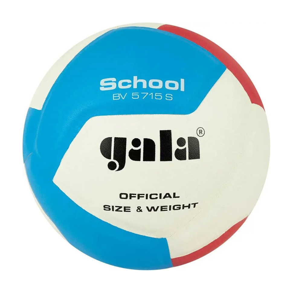 Мяч волейбольный School 12 Gala BV5715S №5