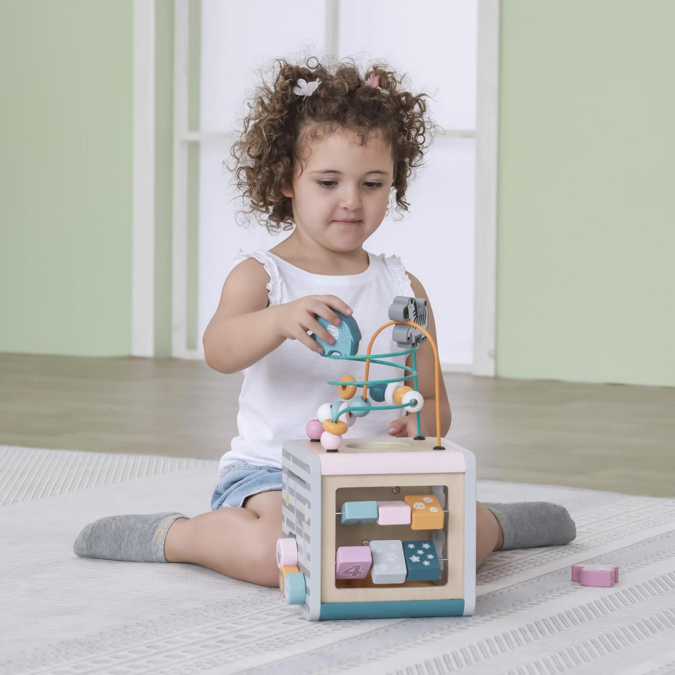 Бізікуб 5 в 1 Viga Toys PolarB 44030 дерев'яний