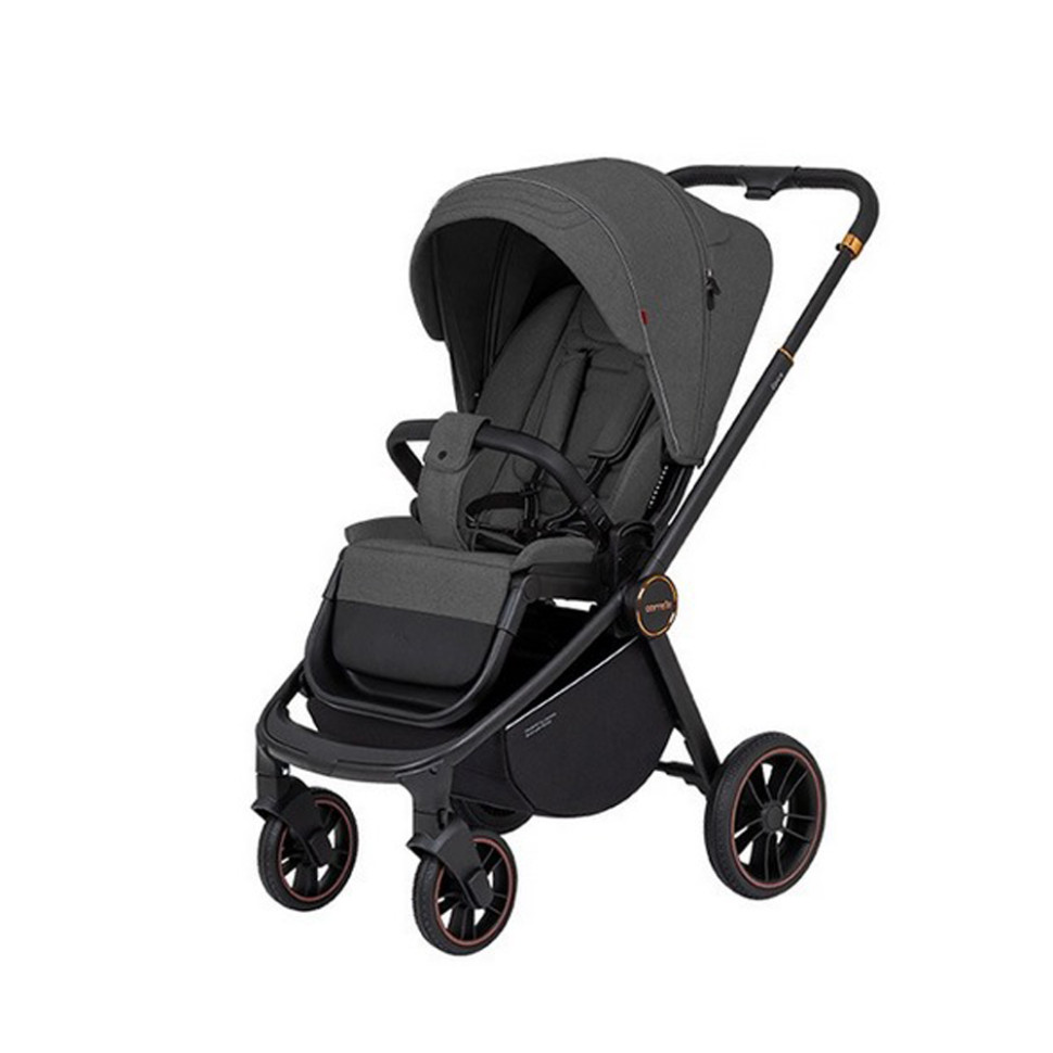 Коляска универсальная 3 в 1 Epica CARRELLO CRL-8511/1 Iron Grey 2024