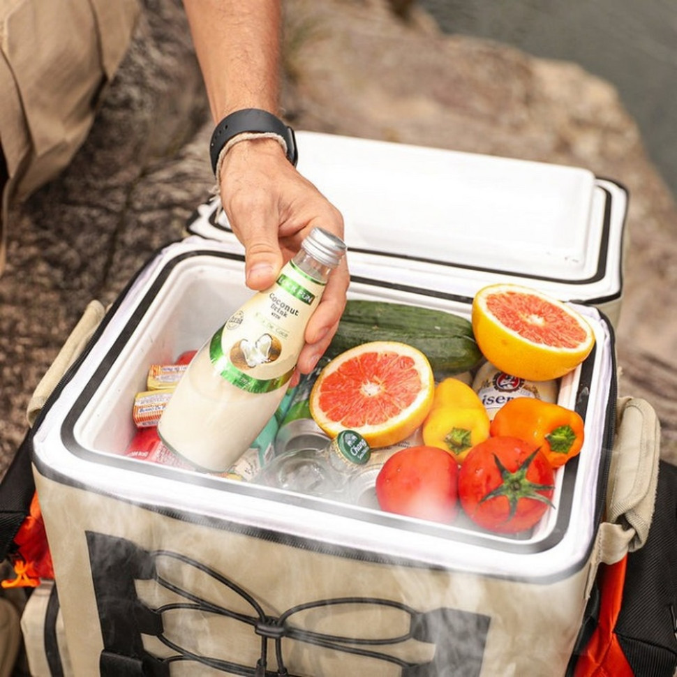 Акумуляторний холодильник-рюкзак Litheli U20HW05-0U101 живлення від павербанка 16 л