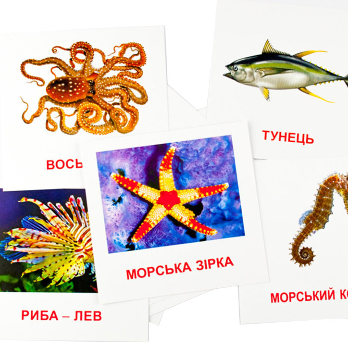 Картки міні 